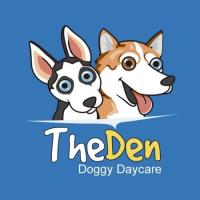 The Den Doggy Daycare image 1